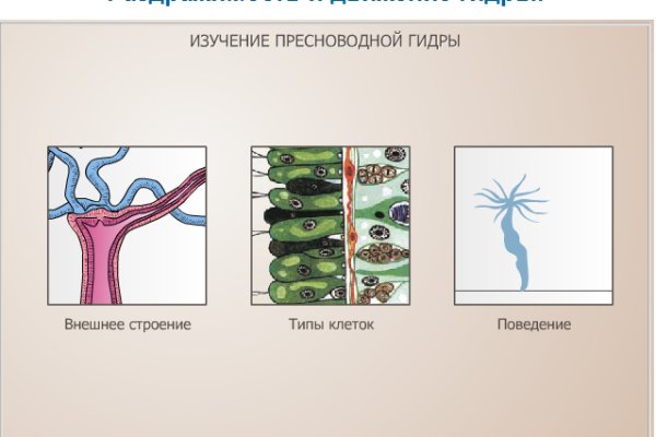 Mega сайт megaruzxpnew4af onion com